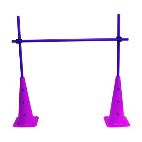 cone training hurdle set