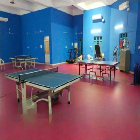 table tennis hall table tennis hall